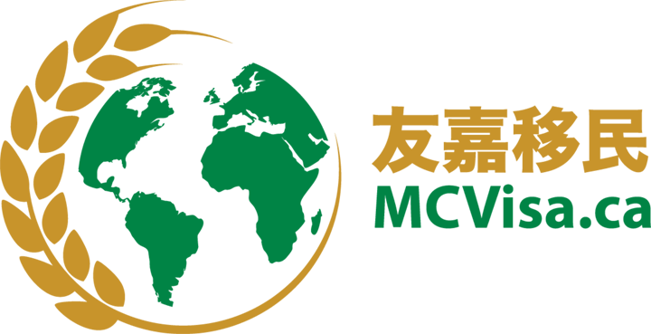 MCVisa 标志